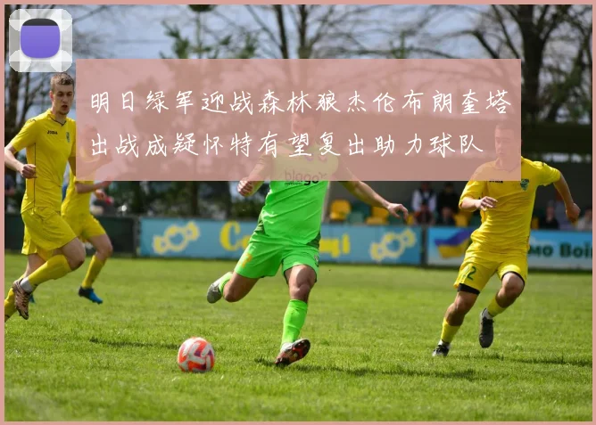 明日绿军迎战森林狼杰伦布朗奎塔出战成疑怀特有望复出助力球队